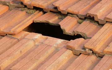 roof repair Dunrostan, Argyll And Bute